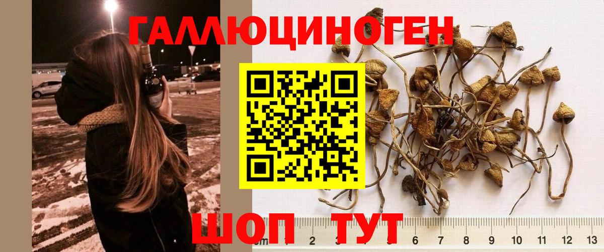 МЕФ Можга
