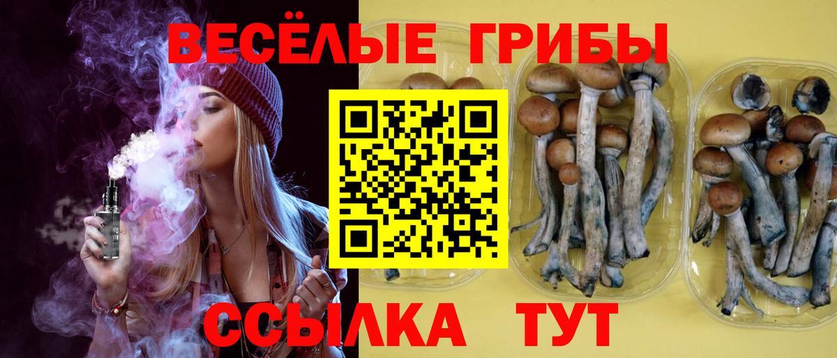 Галлюциногенные грибы Cubensis  Галлюциногенные грибы Psilocybe  Вход с VPN  Можга 