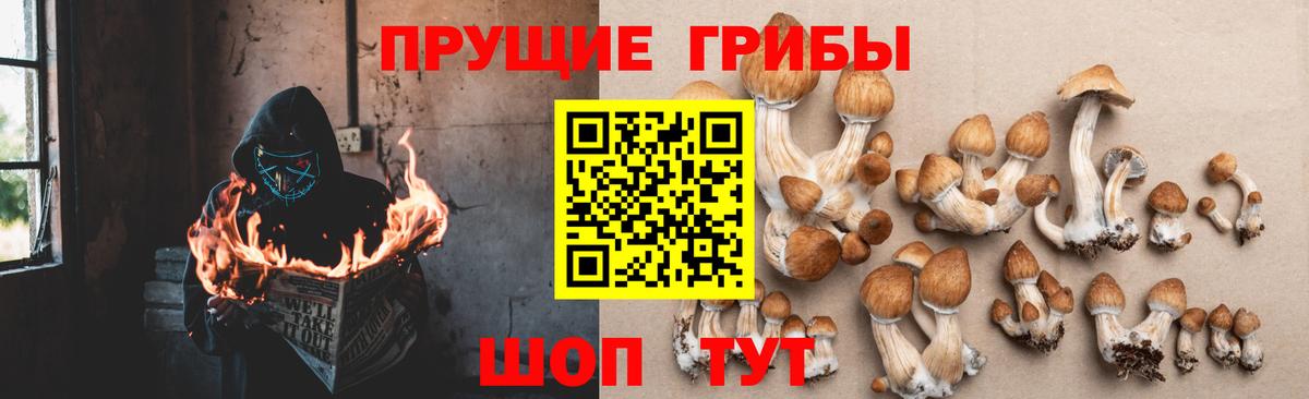 Галлюциногенные грибы GOLDEN TEACHER Можга